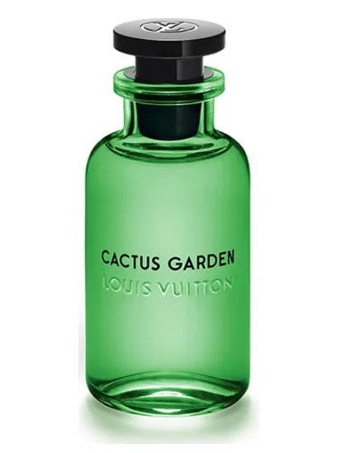 Imagen de Cactus Garden