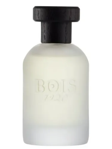 Perfume Classic 1920 de Bois 1920