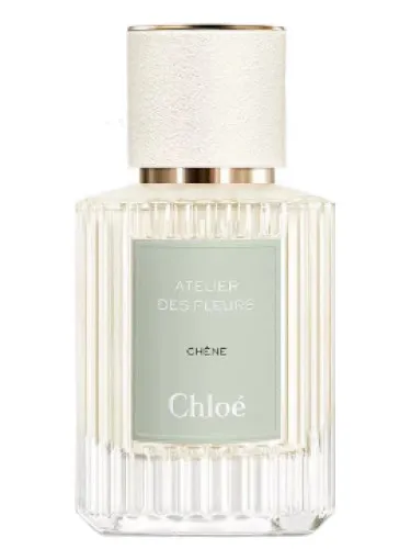 Imagen de Chêne