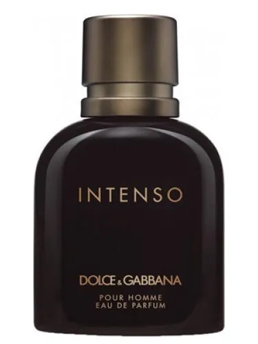 Imagen de Dolce&Gabbana Pour Homme Intenso