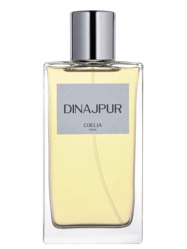 Imagen de Dinajpur