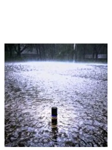 Perfume During the Rain de Solstice Scents