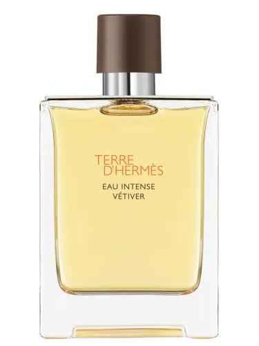 Imagen de Terre D'Hermes Eau Intense Vetiver
