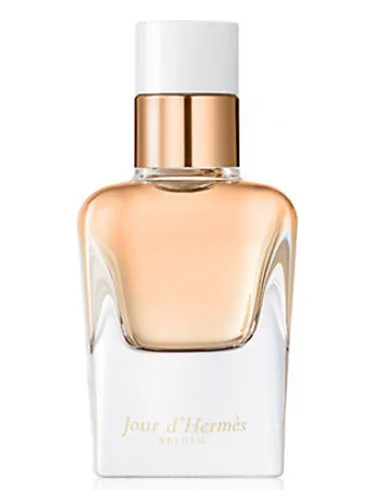 Imagen de Jour d'Hermes Absolu