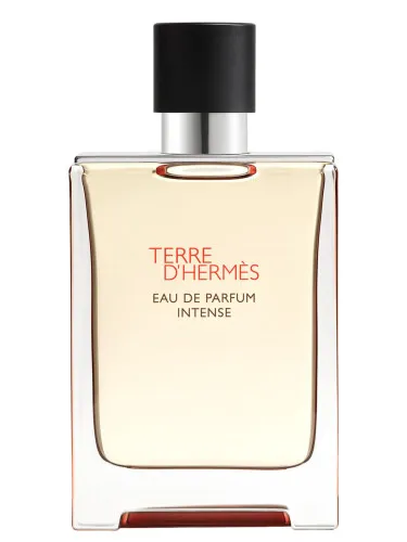 Imagen de Terre d’Hermès Intense