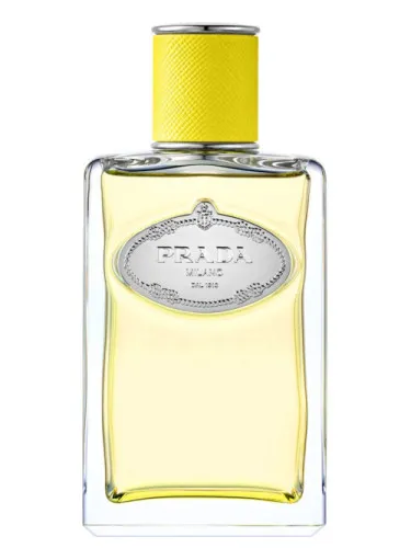 Imagen de Infusion d'Ylang