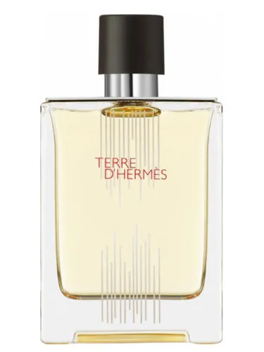 Imagen de Terre d'Hermes Flacon H 2021 Eau de Toilette