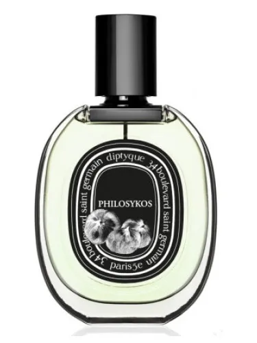 Philosykos