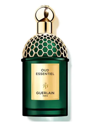 Imagen de Oud Essentiel
