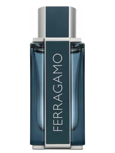 Imagen de Ferragamo Intense Leather