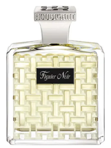 Imagen de Figuier Noir