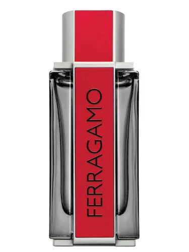 Imagen de Ferragamo Red Leather