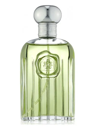 Perfume Giorgio for Men de Giorgio Beverly Hills