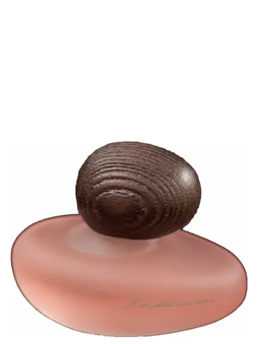 Perfume J'ai Fait Un Rêve Clair de Majda Bekkali