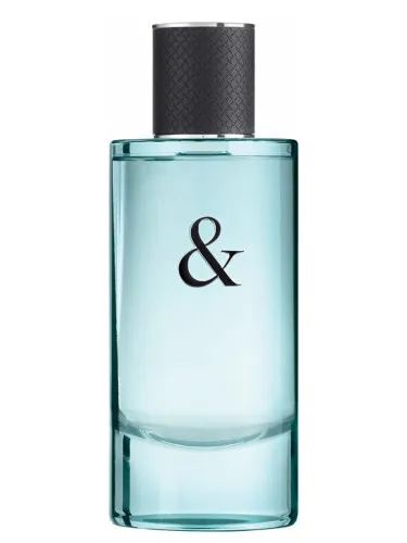 Imagen de Tiffany & Love For Him