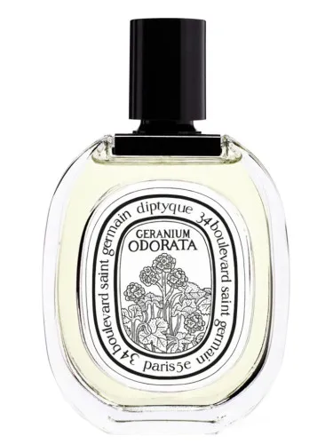 Imagen de Geranium Odorata