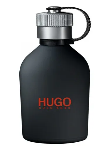 Imagen de Hugo Just Different
