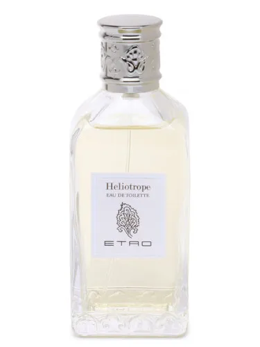 Imagen de Heliotrope