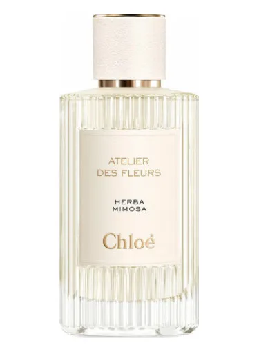 Perfume Herba Mimosa de Chloé