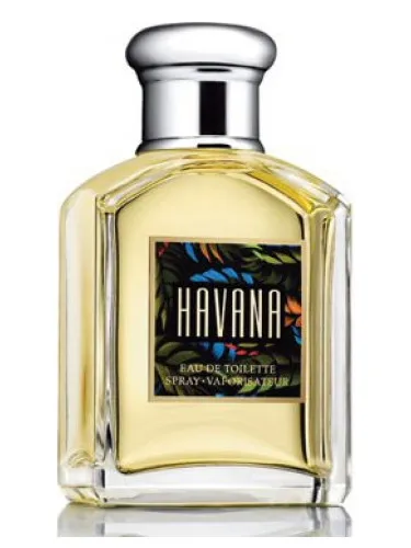 Perfume Havana de Aramis
