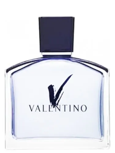 Imagen de V pour Homme