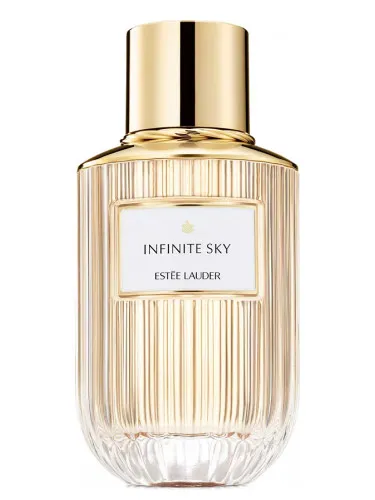 Imagen de Infinite Sky
