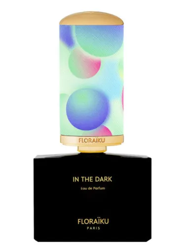 Imagen de In The Dark