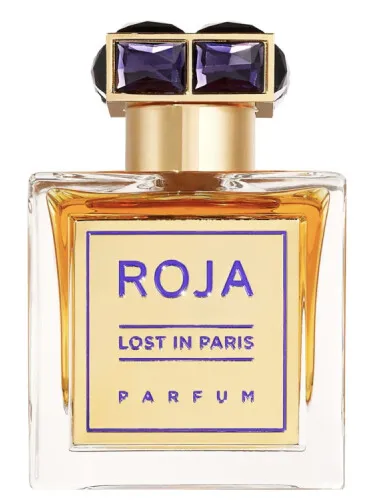Imagen de Lost In Paris