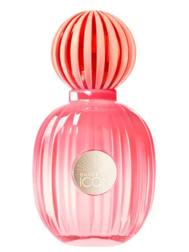 Imagen de The Icon Splendid