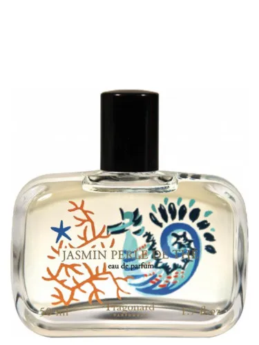 Imagen de Jasmin Perle de Thé