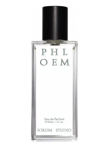 Imagen de Phloem