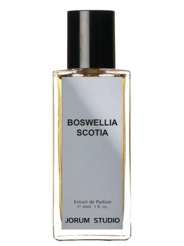 Perfume Boswellia Scotia de Jorum Studio