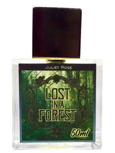 Imagen de Lost in a Forest