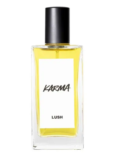 Imagen de Karma