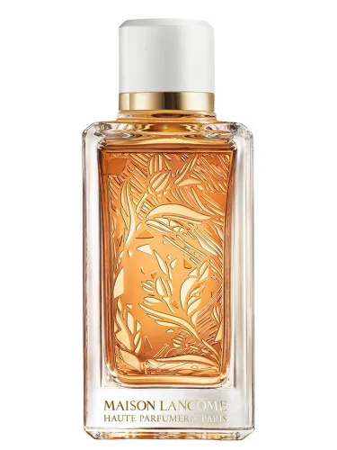 Imagen de Santal Kardamon