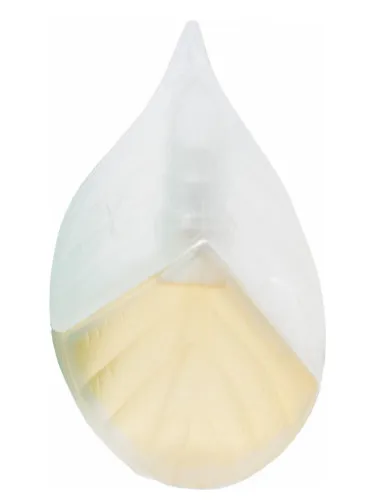 Perfume Parfum d'Ete 1992 de Kenzo