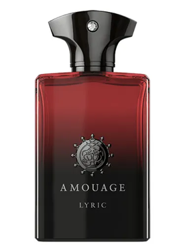 Imagen de Lyric Man