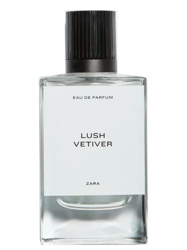 Imagen de Lush Vetiver