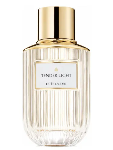 Imagen de Tender Light