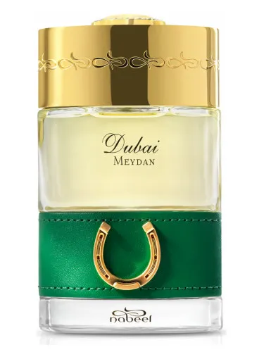 Imagen de Meydan