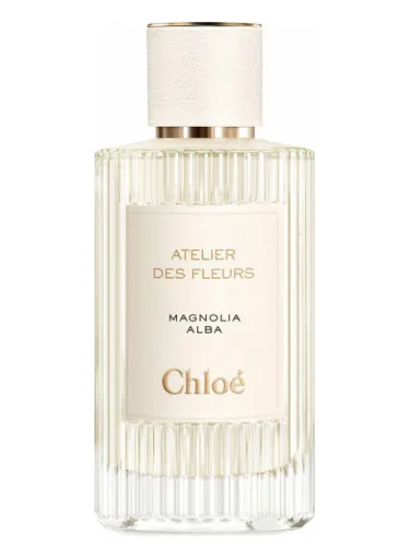 Imagen de Magnolia Alba