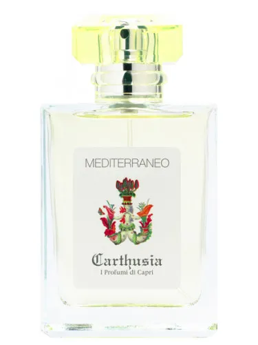 Imagen de Mediterraneo
