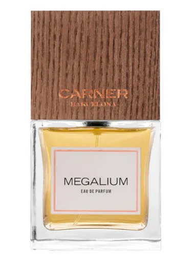 Imagen de Megalium