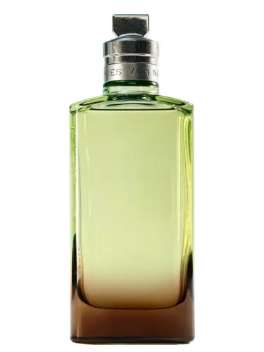 Perfume Mystic Moss de Dries Van Noten