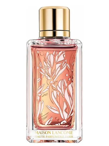 Imagen de Magnolia Rosae