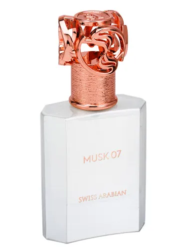 Imagen de Musk 07