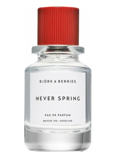 Imagen de Never Spring