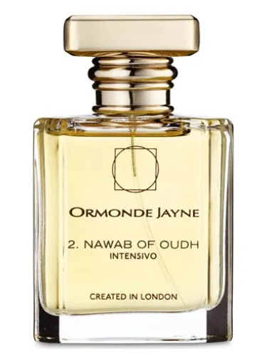 Imagen de 2. Nawab of Oudh Intensivo
