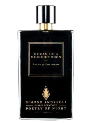 Imagen de Ocean of a Midnight Moon