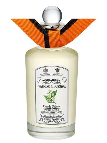 Imagen de Orange Blossom